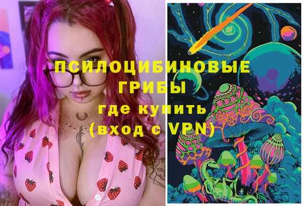 крисы Дегтярск