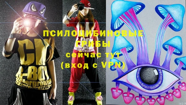 таблы Пролетарск