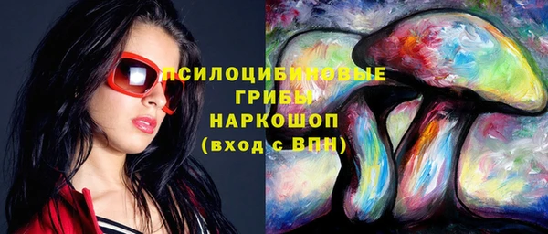 дживик Приозерск
